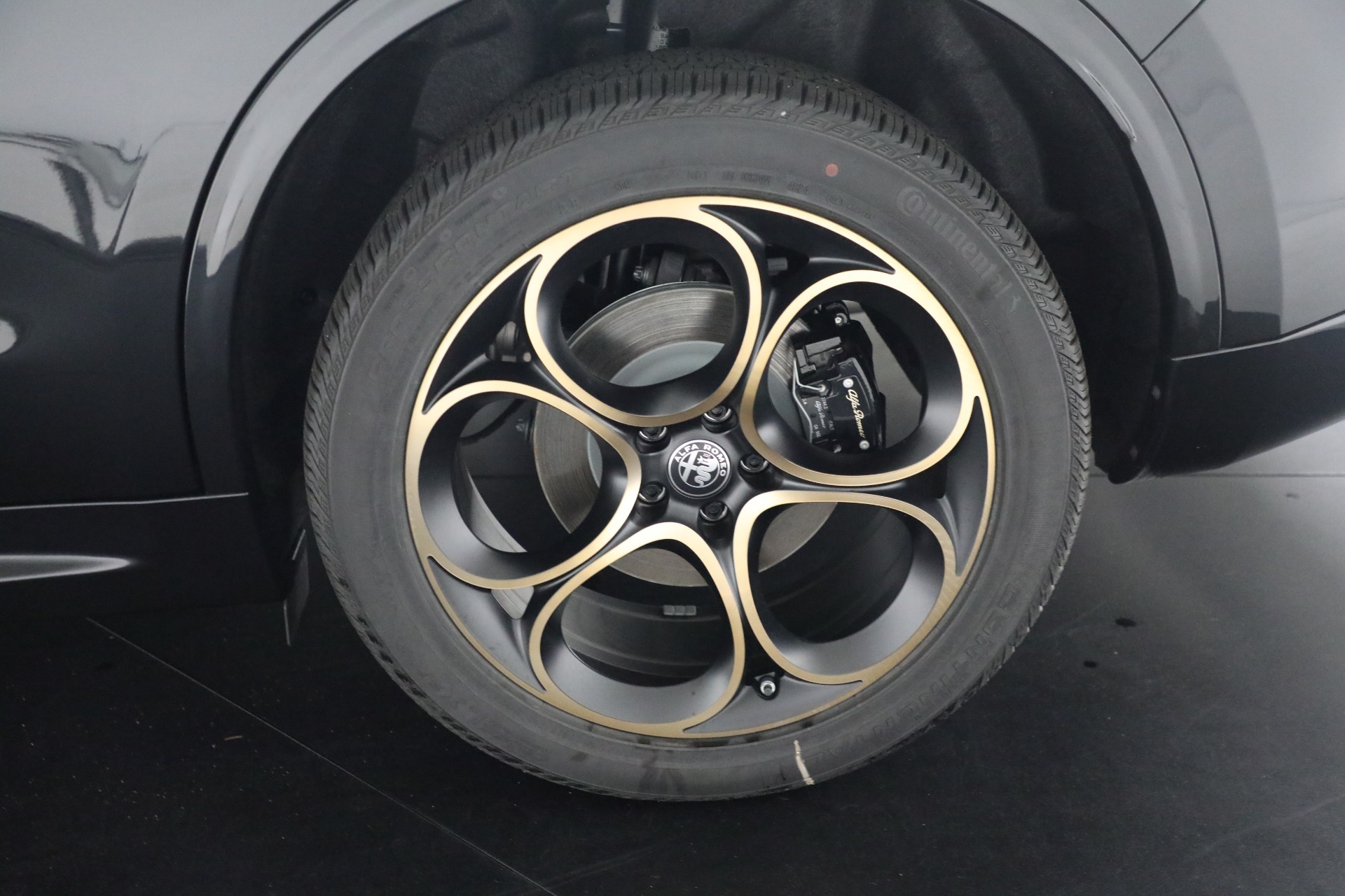 New-2025-Alfa-Romeo-Stelvio-Intensa