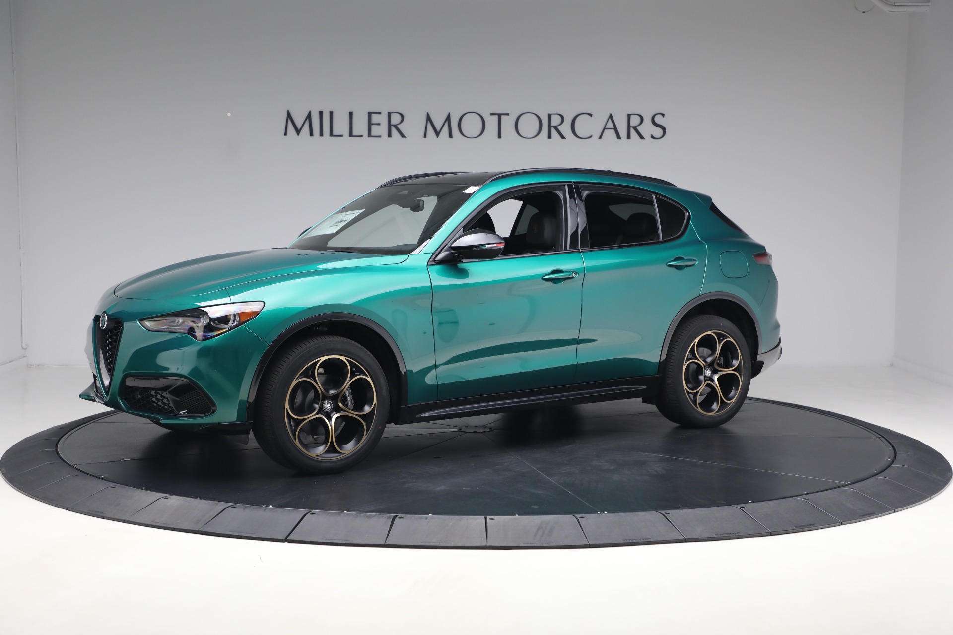 New-2025-Alfa-Romeo-Stelvio-Intensa