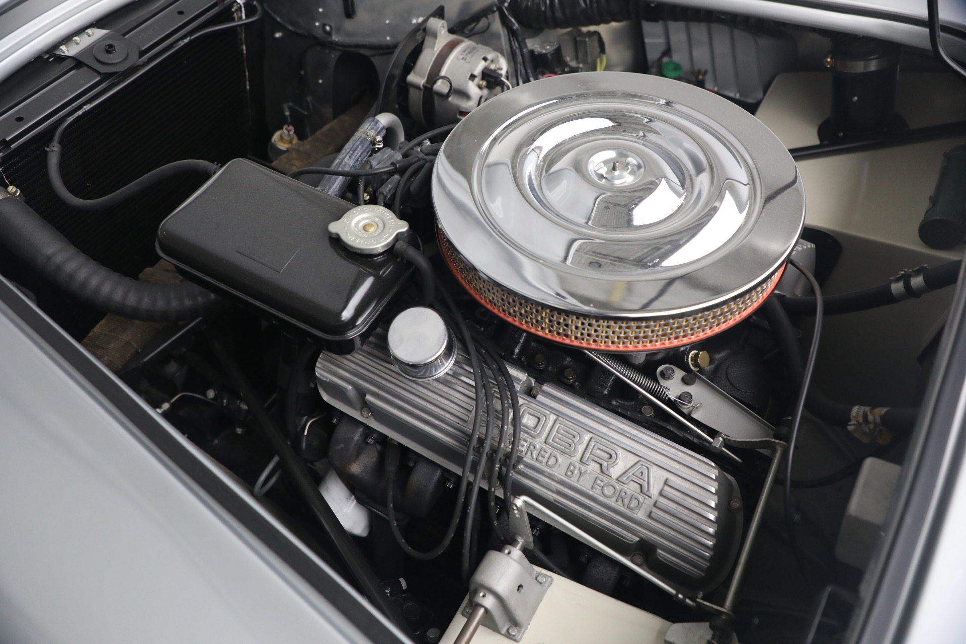 Used-1965-Shelby-Cobra